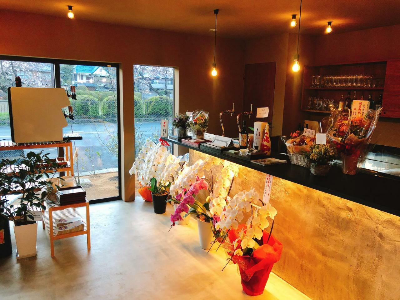 Hostel Kohinobori (adults Only)